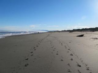 Shining Star Beachfront Accommodation Hokitika Exteriér fotografie